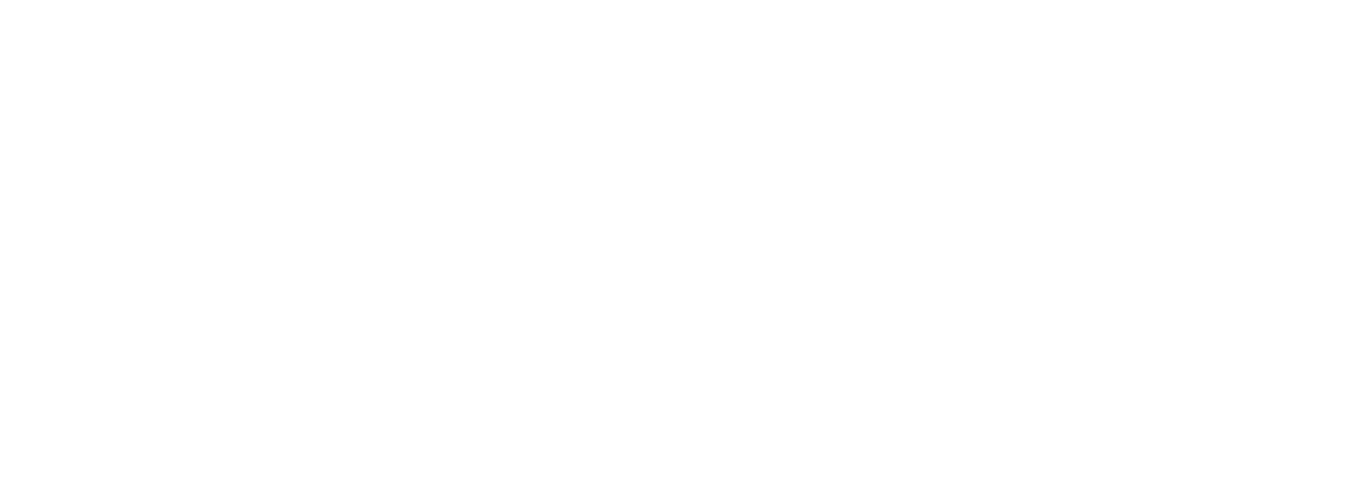 Logo IRONMAN Brasil
